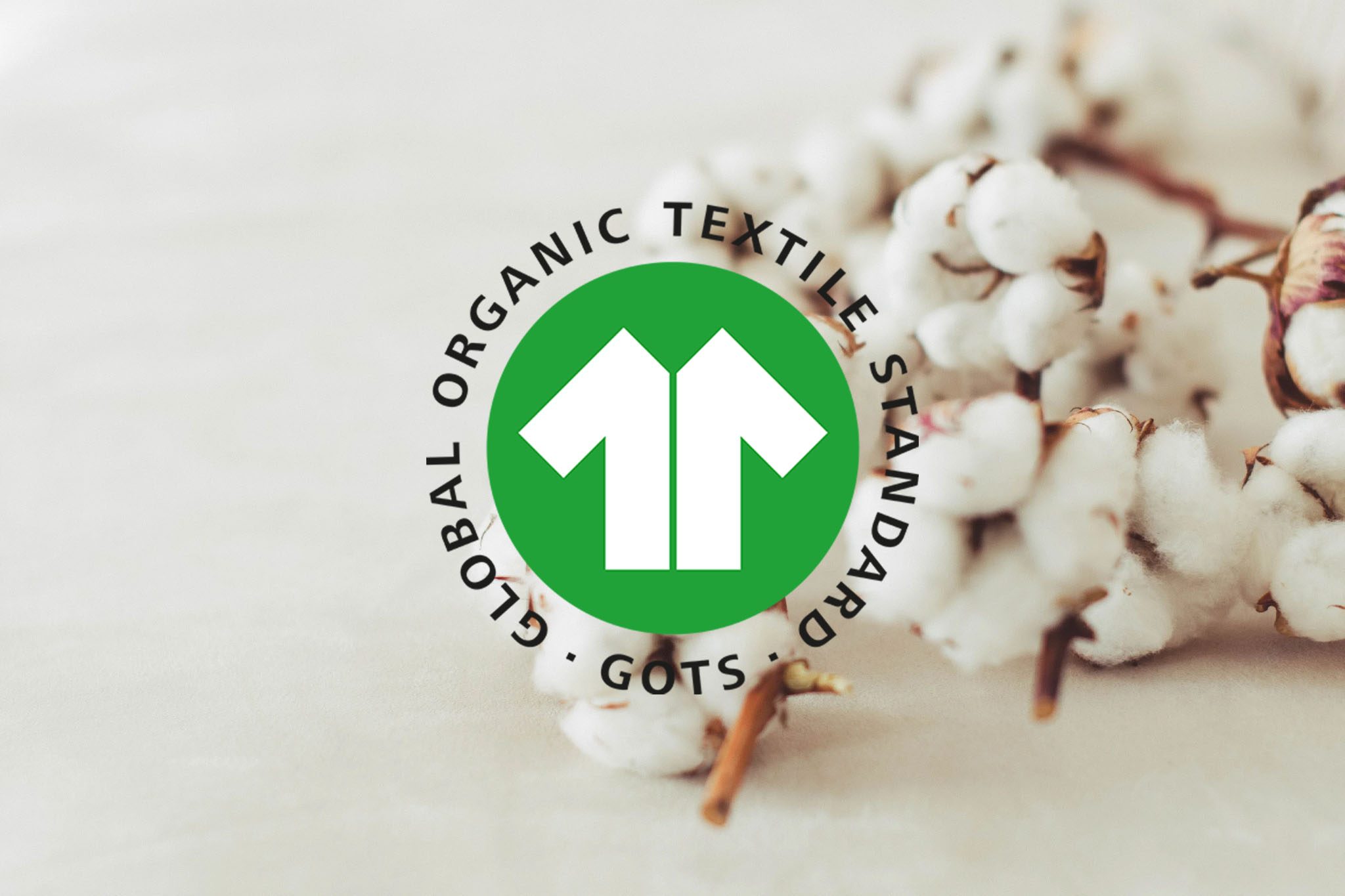 Why Global Brands Choose GOTS-Certified Denim from Pakistan